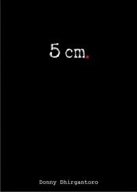 5 cm